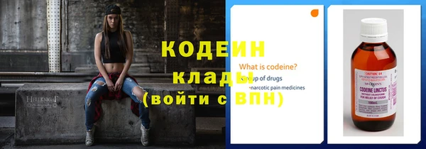 таблы Бородино