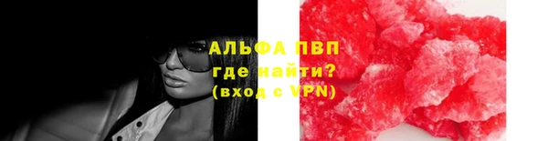 таблы Бородино