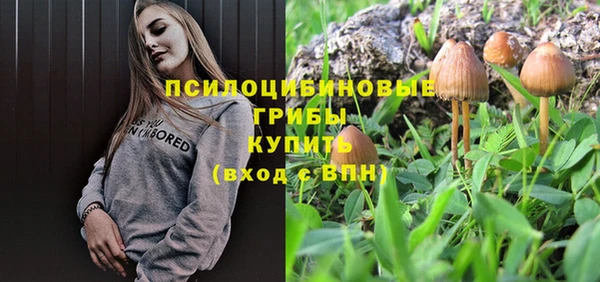 таблы Бородино