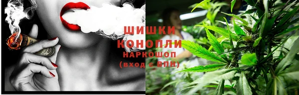 таблы Бородино