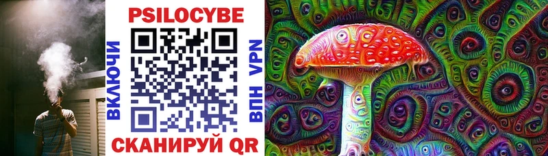 Купить где Находка Псилоцибиновые грибы Psilocybine cubensis